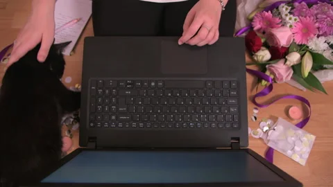 Wedding Planner Working From Home Interrupted by Curious Cat Stock Footage 140743876