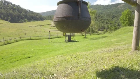 Wedding pot decoration Stock Footage 134605245