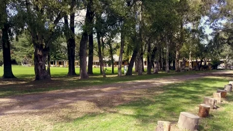 Wedding Preparation HD Stock Footage 263744080