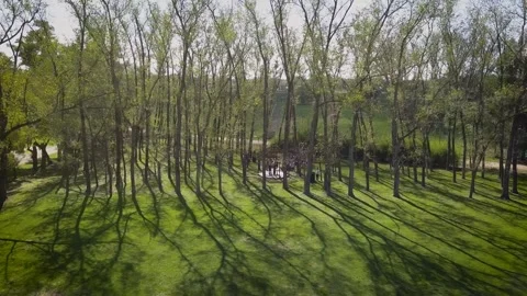 Wedding Preparation HD Stock Footage 263745589