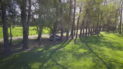 Wedding Preparation HD Stock Footage 263745957