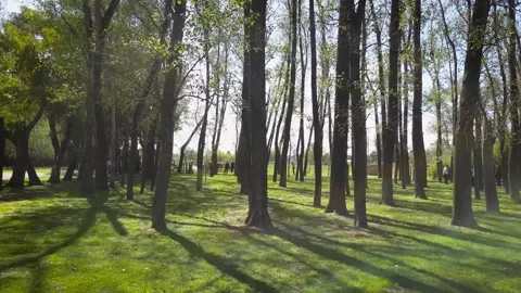 Wedding Preparation HD Stock Footage 263745963