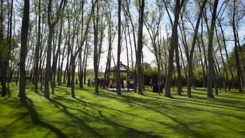 Wedding Preparation HD Stock Footage 263746075