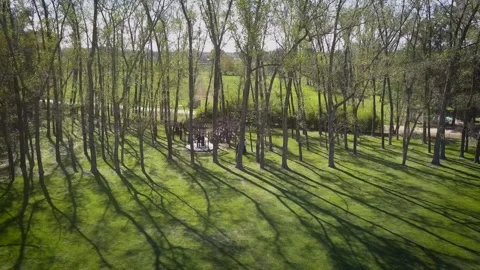 Wedding Preparation HD Stock Footage 263746631