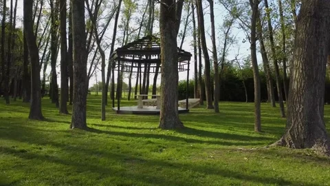 Wedding Preparation HD Stock Footage 263749010