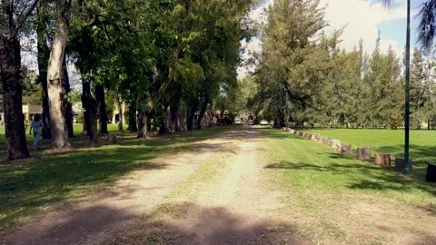 Wedding Preparation UHD Stock Footage 263745020