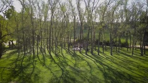 Wedding Preparation UHD Stock Footage 263745708