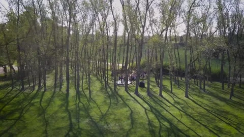 Wedding Preparation UHD Stock Footage 263745835