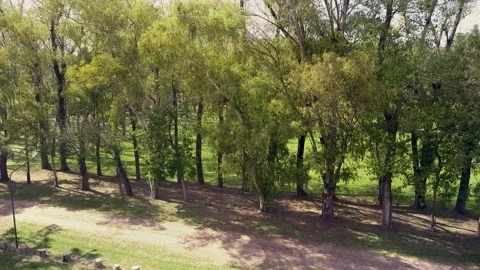 Wedding Preparation UHD Stock Footage 263746069