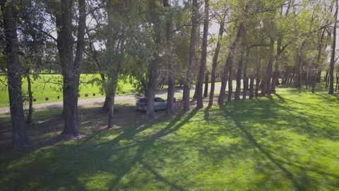 Wedding Preparation UHD Stock Footage 263746213