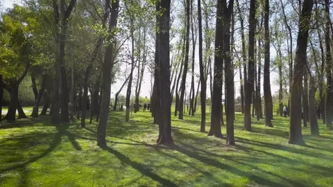 Wedding Preparation UHD Stock Footage 263746218