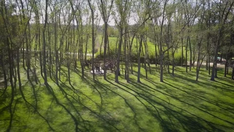 Wedding Preparation UHD Stock Footage 263747611