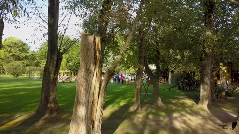 Wedding Preparation UHD Stock Footage 263750547