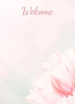Wedding Program card, pink tulips, standart size. Greeting or invite Details  Stock Photos