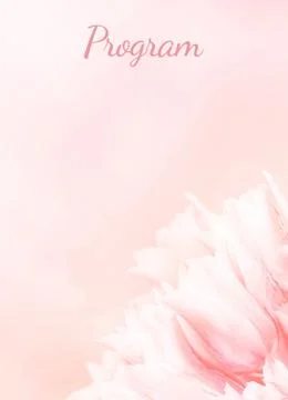 Wedding Program card, pink tulips, standart size. Greeting or invite Details  Stock Photos