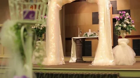 Wedding Push To Stage Stock Footage 11392556