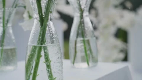Wedding reception decor, fresh flower arrangements, a new design solution. Its Stock Footage 329095082