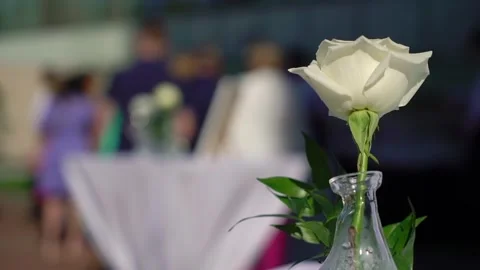 Wedding reception, dinner at the restaurant. Decorated with white pink. Video stock 258932121