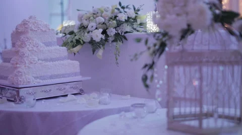 Wedding reception visuals Stock Footage