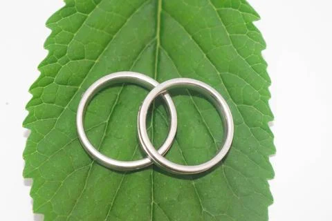 Wedding Ring 2 Stock Photos