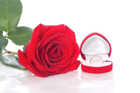 Wedding ring and rose, will you marry me? Stock Photos