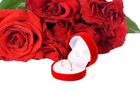 Wedding ring and rose, will you marry me? Stock Photos