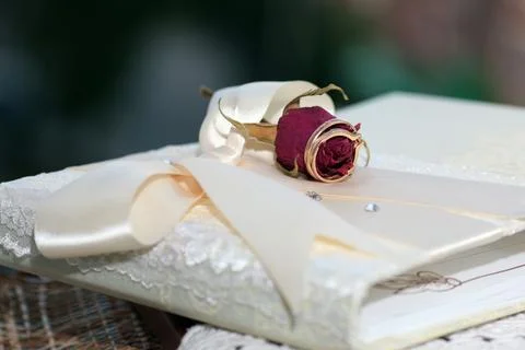 Wedding ring decor 스톡 사진