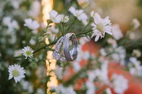 A wedding ring delicately placed inside a small flower stem, Stock Photos