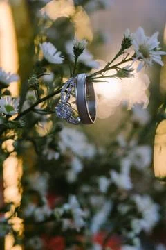 A wedding ring delicately placed inside a small flower stem, Stock Photos