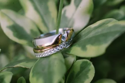 A wedding ring elegantly placed on a green leaf Stock Photos