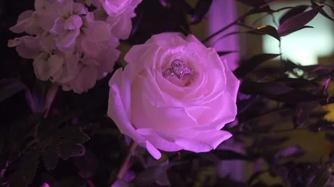Wedding Ring in Flowers Stock Footage 87094500