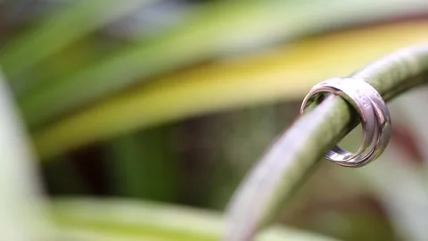 Wedding ring Video stock 159774223