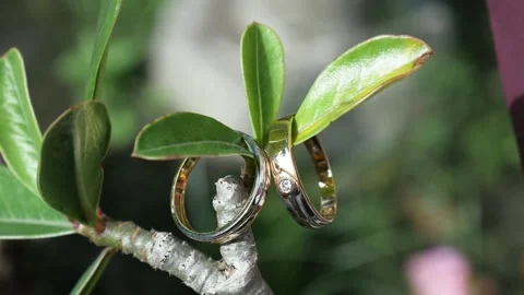 Wedding Ring Video stock 170655474