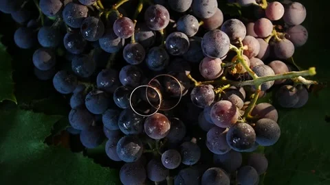 Wedding ring on the grapes Stock Footage 131239590