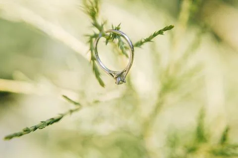 Wedding ring in the grass Stock Photos