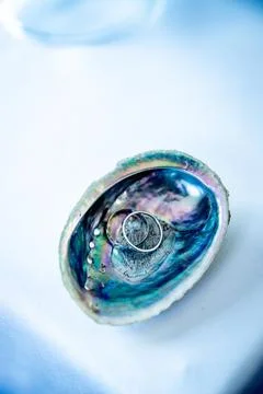 Wedding ring on a paua shell, wedding accessories, celebration details Stock Photos