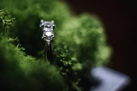 Wedding ring Stock Photos