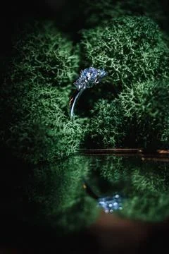 Wedding ring Stock Photos