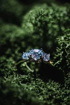 Wedding ring Stock Photos