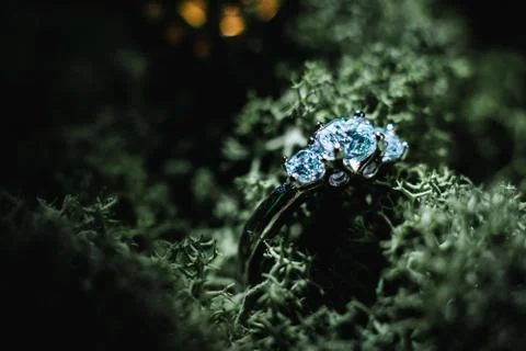 Wedding ring Stock Photos