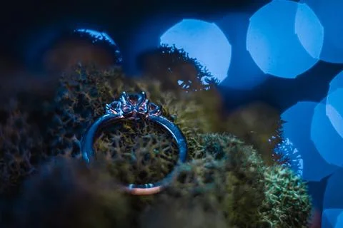 Wedding ring Stock Photos