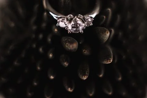 Wedding ring Foto stock