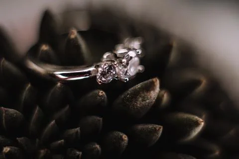 Wedding ring Stock Photos