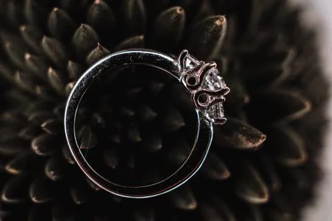 Wedding ring Stock Photos