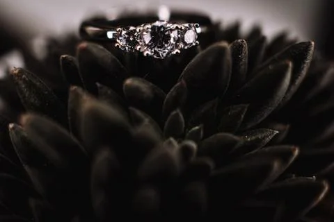 Wedding ring Stock Photos