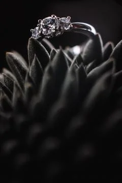Wedding ring Foto stock