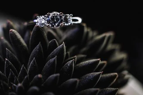Wedding ring Foto stock