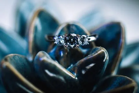 Wedding ring Stock Photos