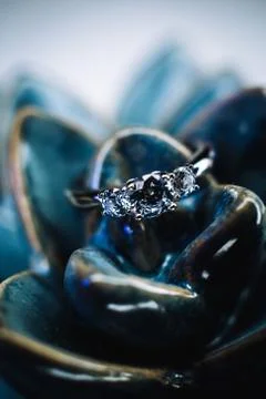 Wedding ring Stock Photos