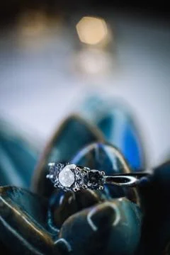 Wedding ring Stock Photos